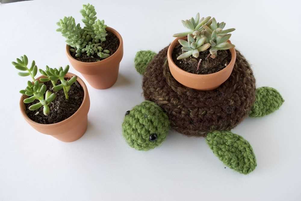 Succulent knitting pattern