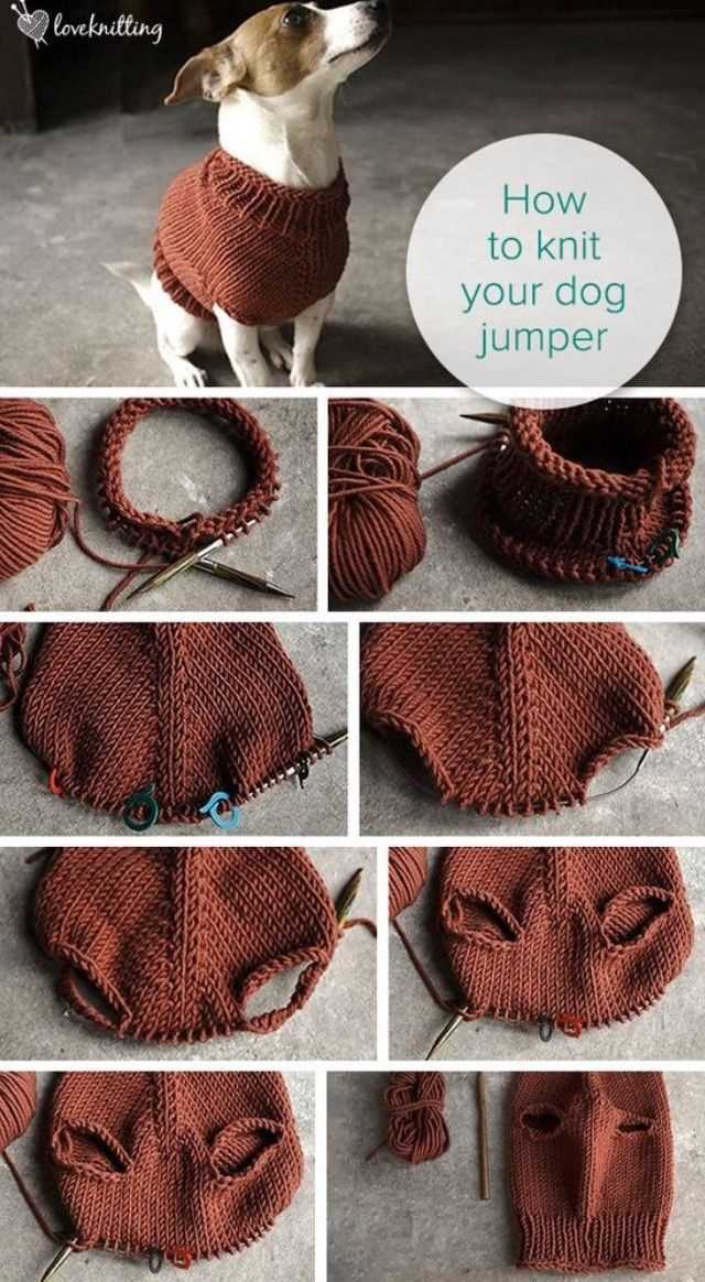 Knit dog sweater pattern free easy