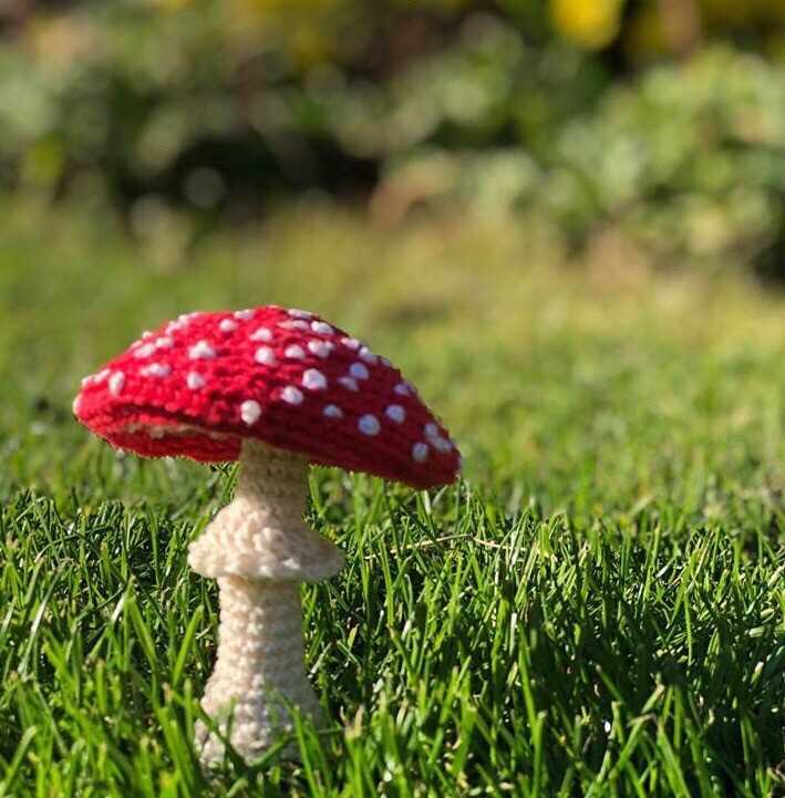 Knit mushroom hat pattern