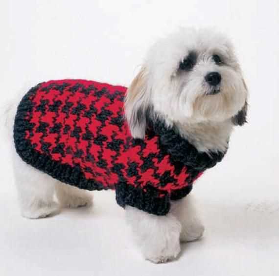 Knit dog coat pattern free