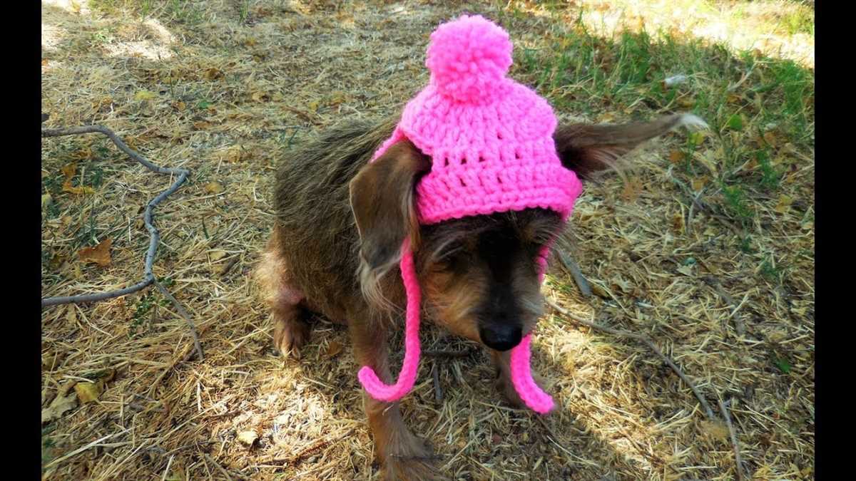 Knit dog hat with ear holes pattern free