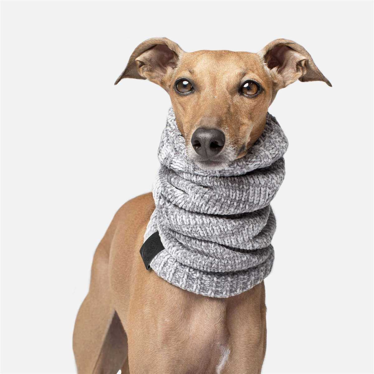 Knitted dog scarf pattern free