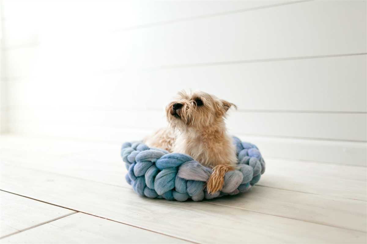 Knitting for pets free patterns