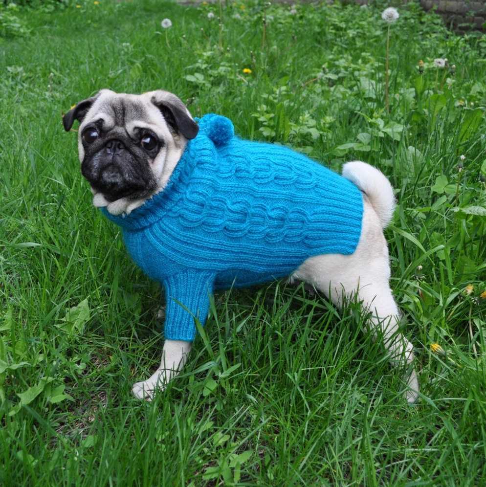 Knitting pattern for french bulldog sweater