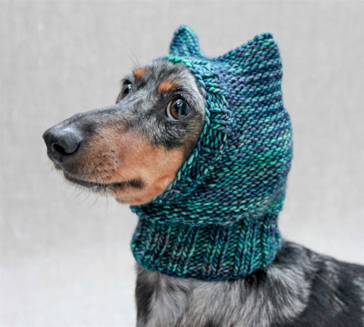 Knitting pattern for small dog hat