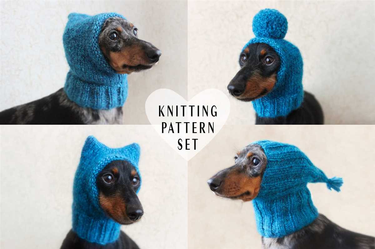 Knitting pattern for small dog hat