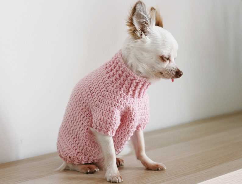 Chihuahua knitting pattern