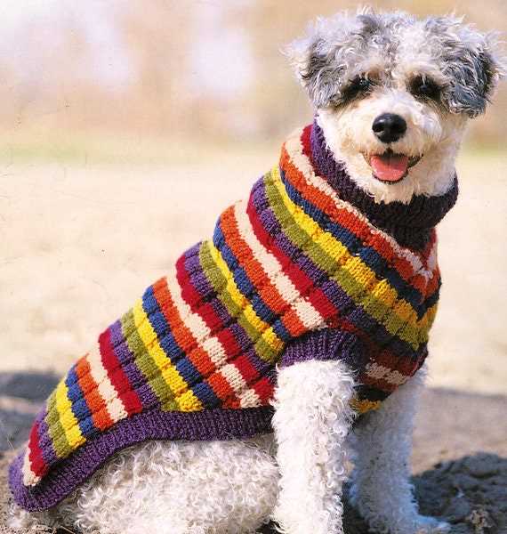 Small dog knitted sweater pattern