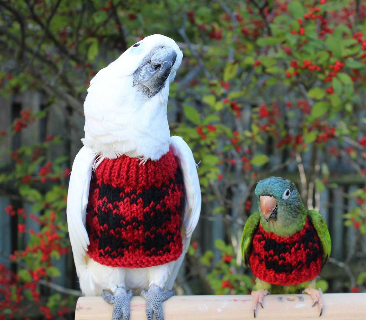 Bird sweater knitting pattern