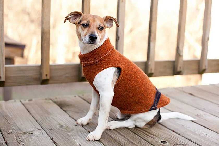 Dog clothes knitting patterns