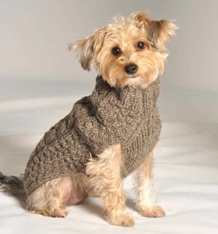 Knitting patterns for pets