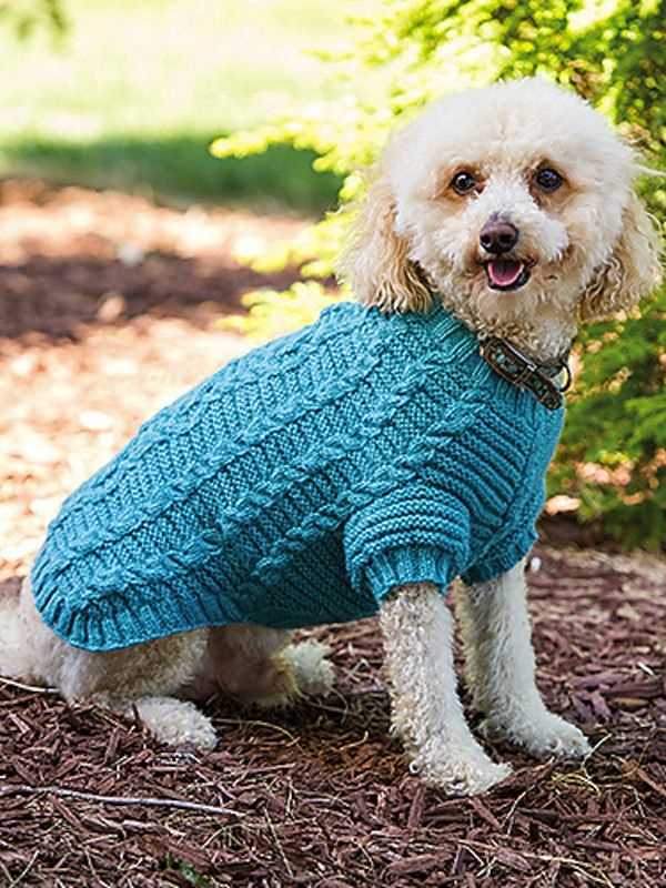 Knit dog sweater patterns