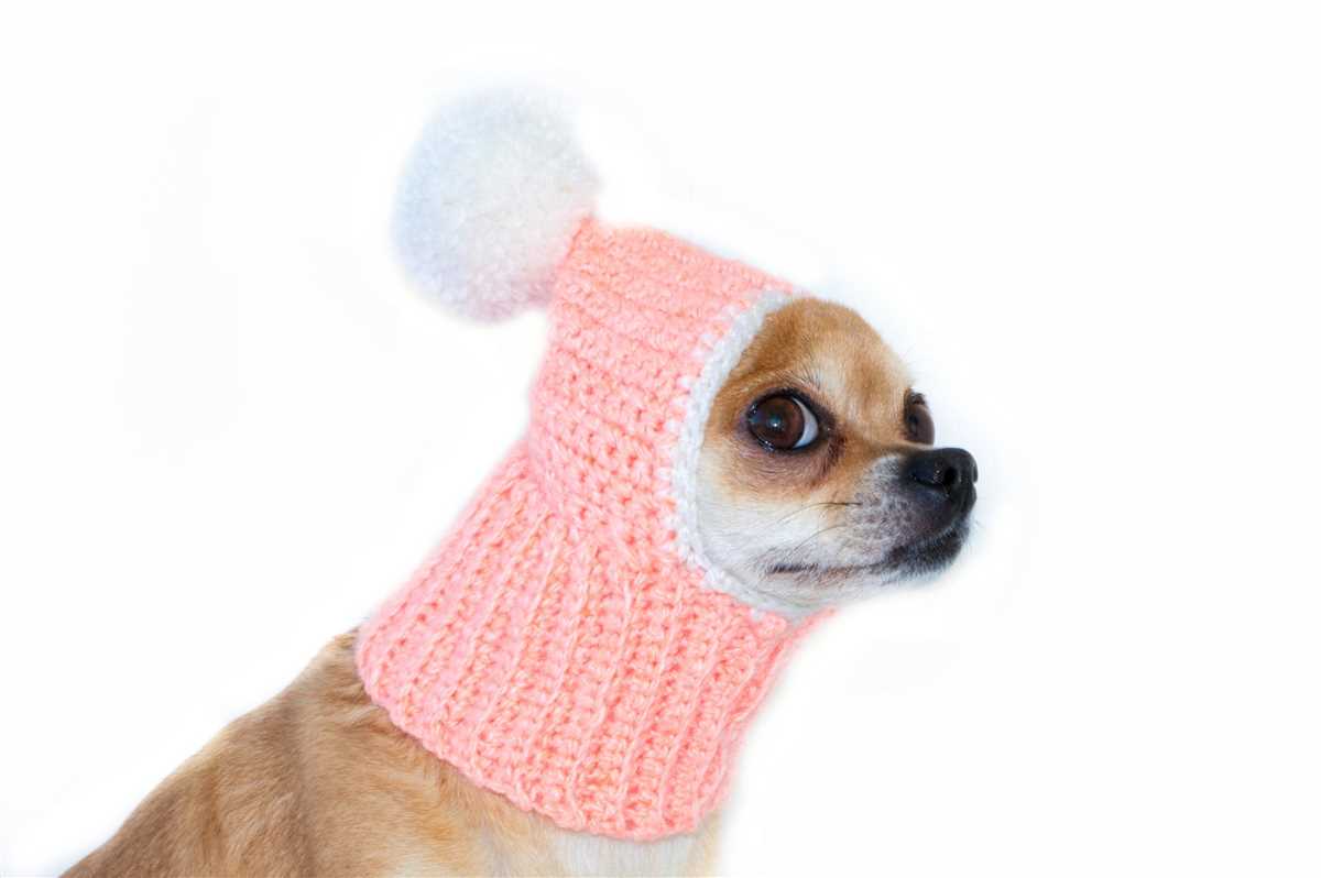 Chihuahua hat knitting patterns free