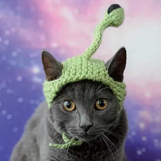 Cat hat knit pattern free