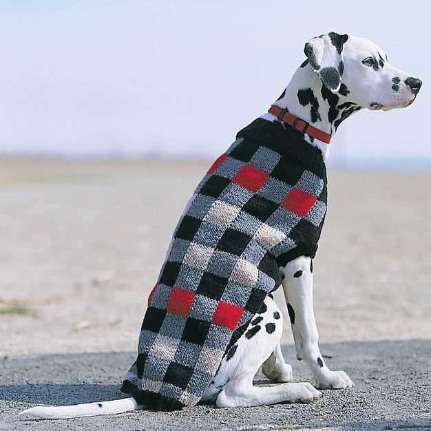 Free knitting pattern for large dog sweater