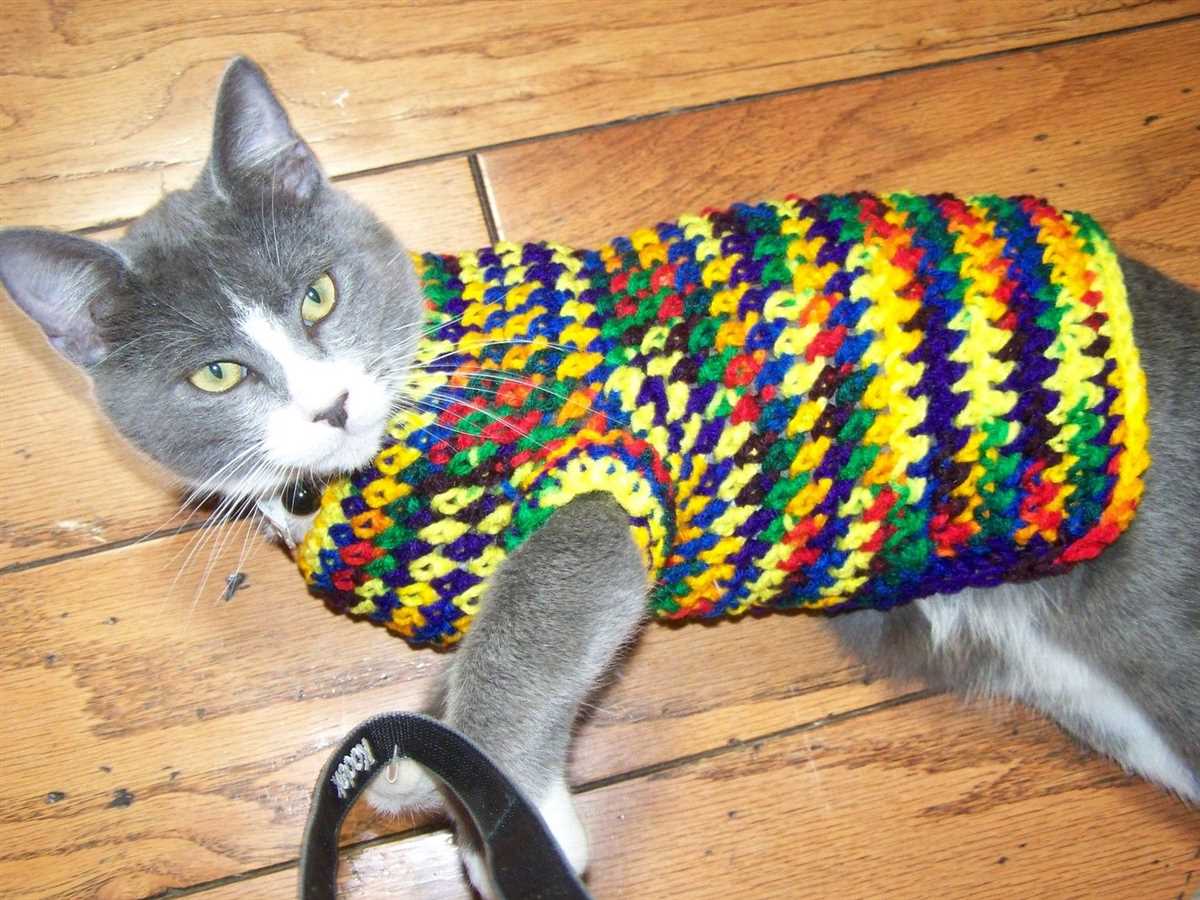 Cat hoodie knitting pattern