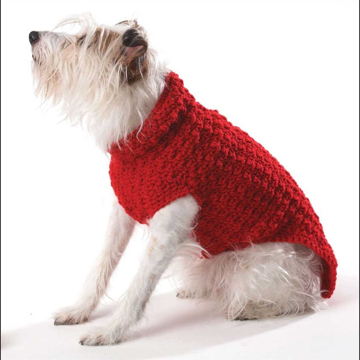 Easy knit large dog sweater patterns free