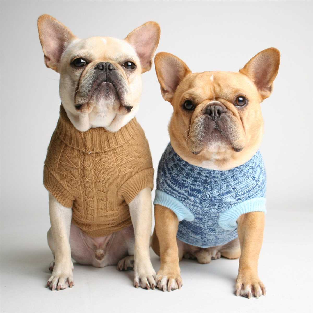 French bulldog knit sweater pattern
