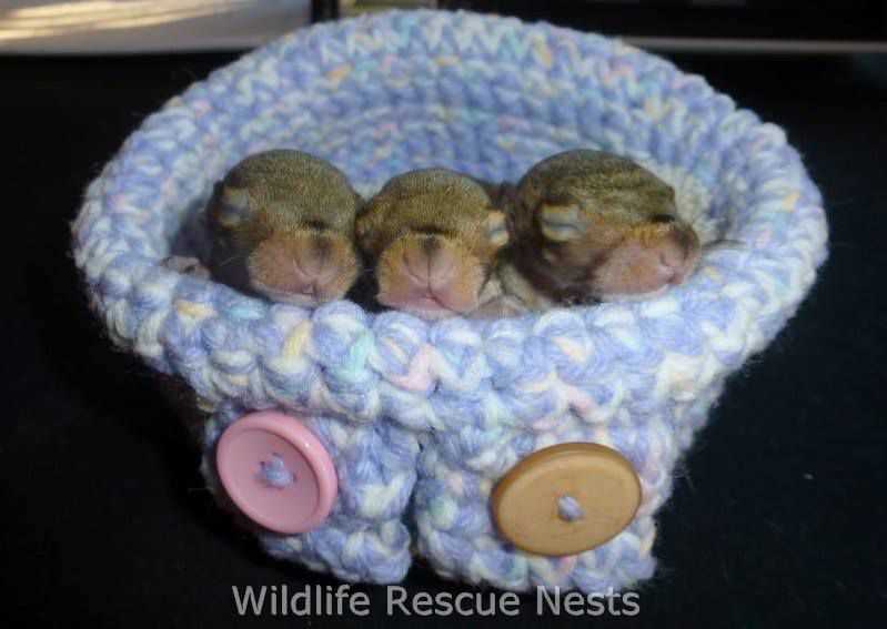 Wildlife rescue nests knitting patterns