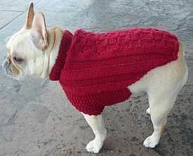 French bulldog knit sweater pattern