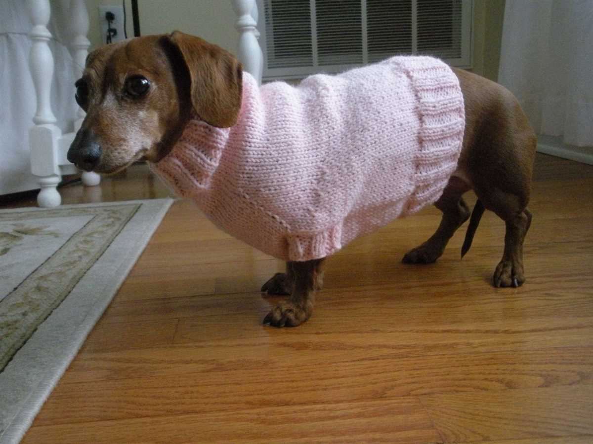 Free knitting patterns for miniature dachshund sweaters