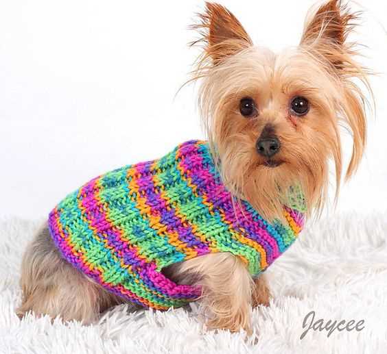 Knit dog sweater pattern free easy