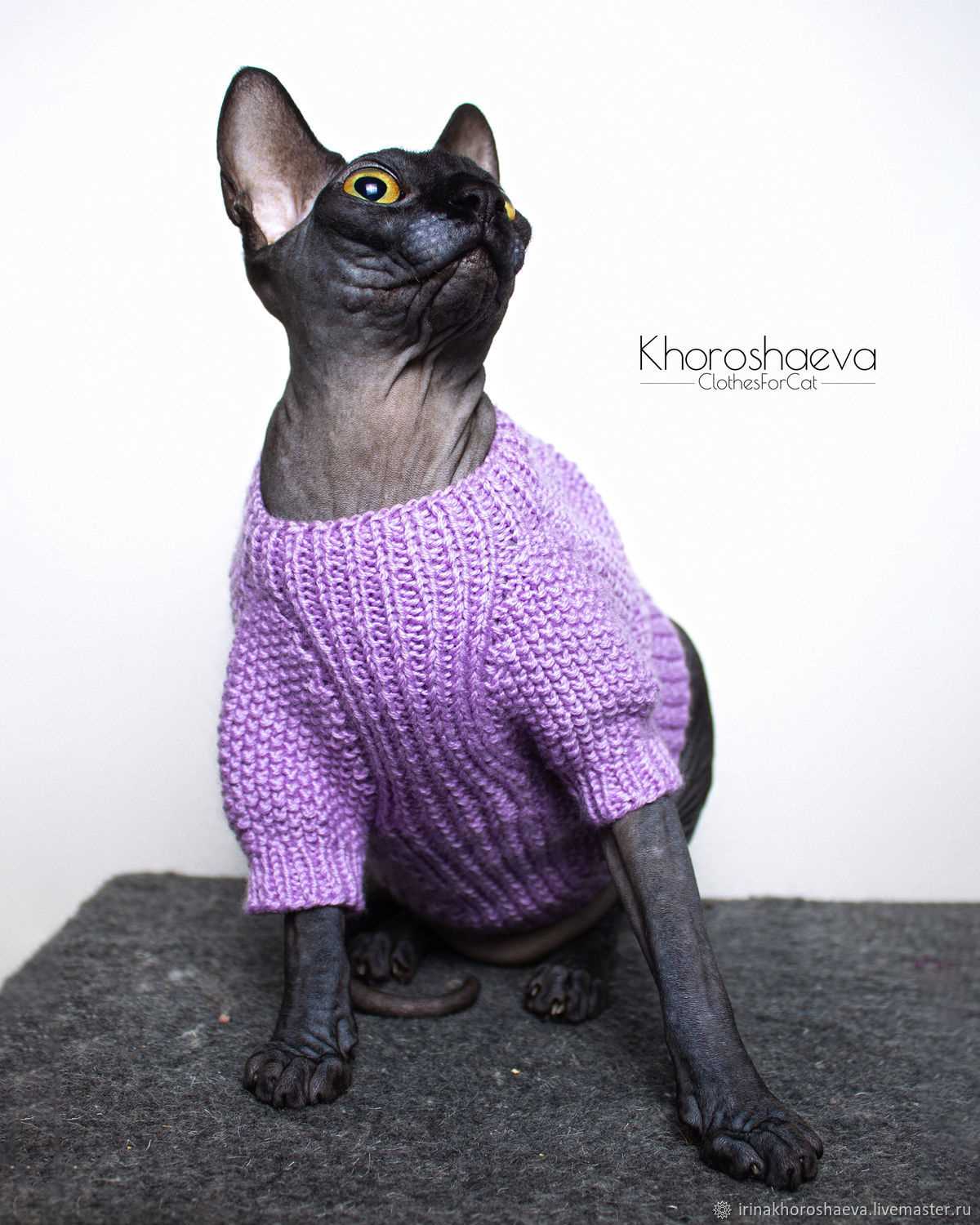 Sphynx cat sweater knitting pattern