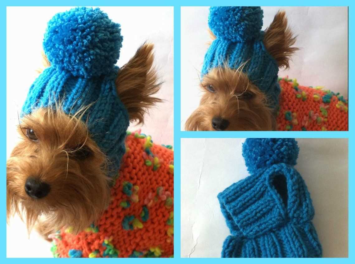 Free knitting patterns for dog hats