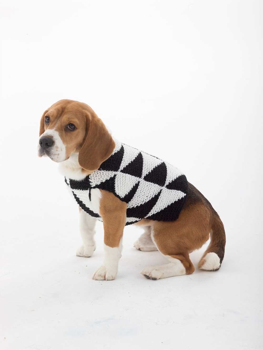 Knit dog jacket pattern