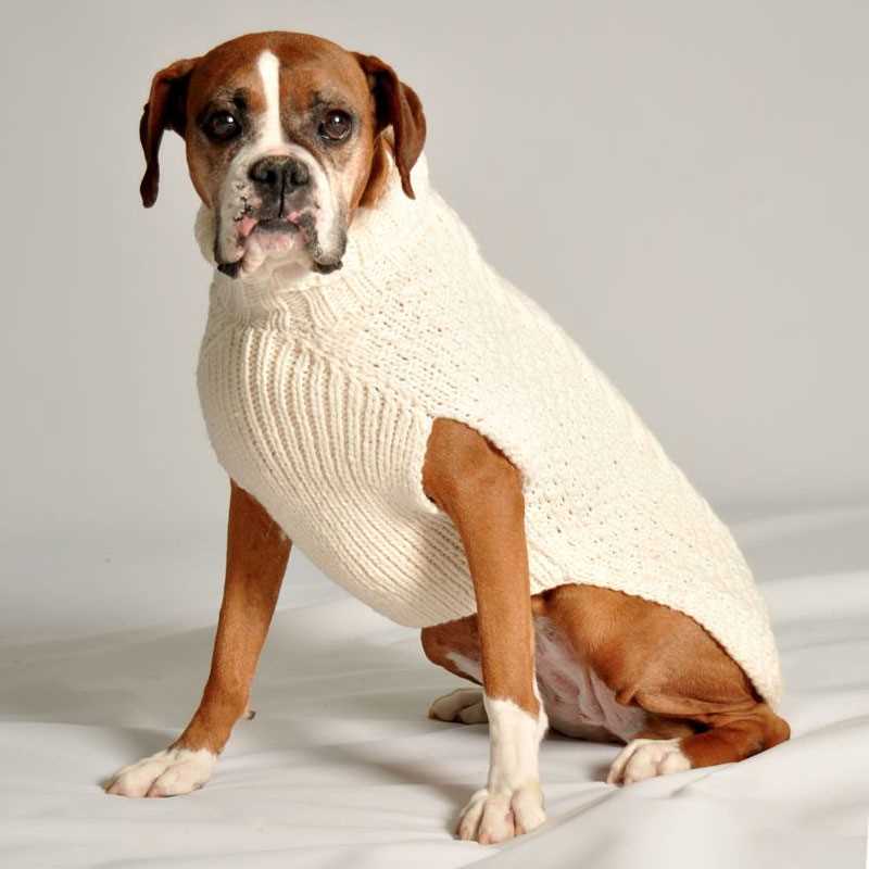 Cable knit dog sweater pattern