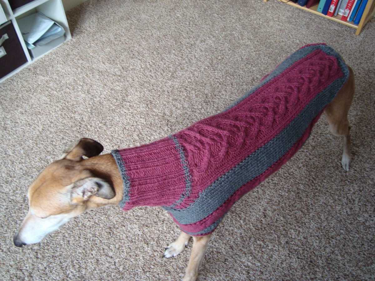 Knit dog coat pattern free