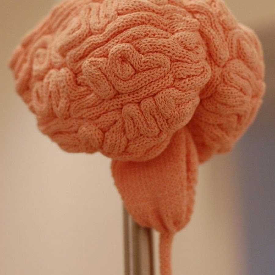 Knitted brain hat pattern free