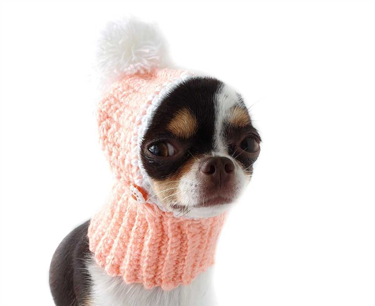 Chihuahua hat knitting patterns free