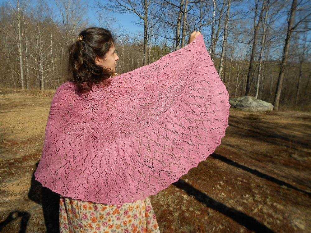 Knit pi shawl free pattern