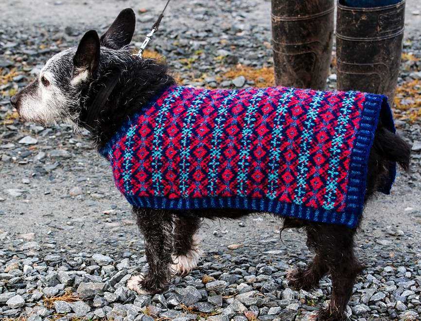 Dog sweater patterns to knit