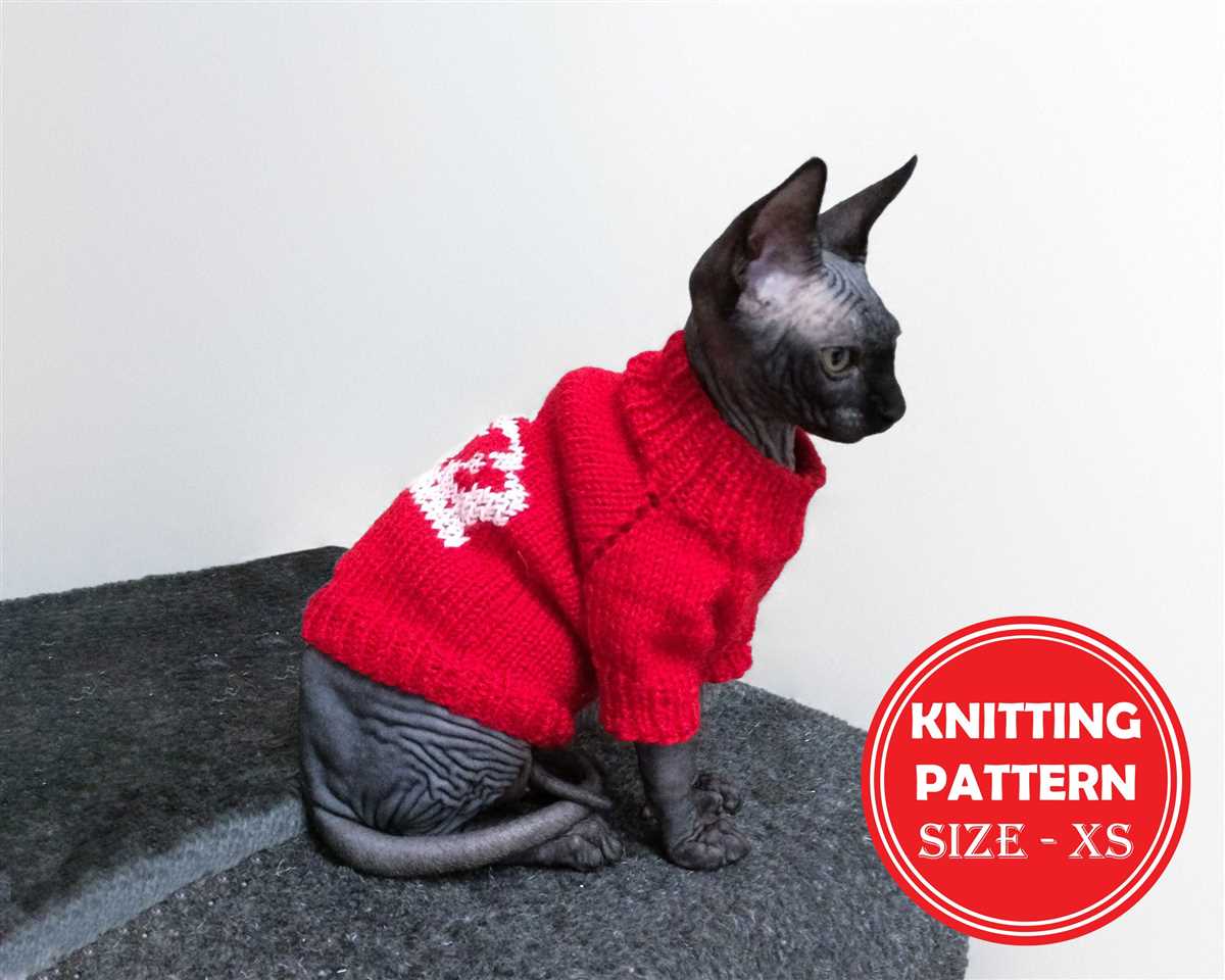 Sphynx cat sweater knitting pattern