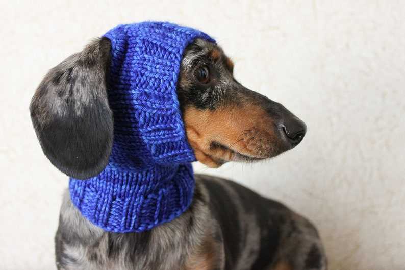 Free knitting patterns for dog hats