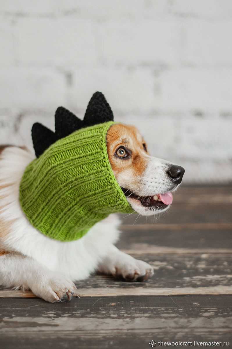 Dog snood knitting pattern free