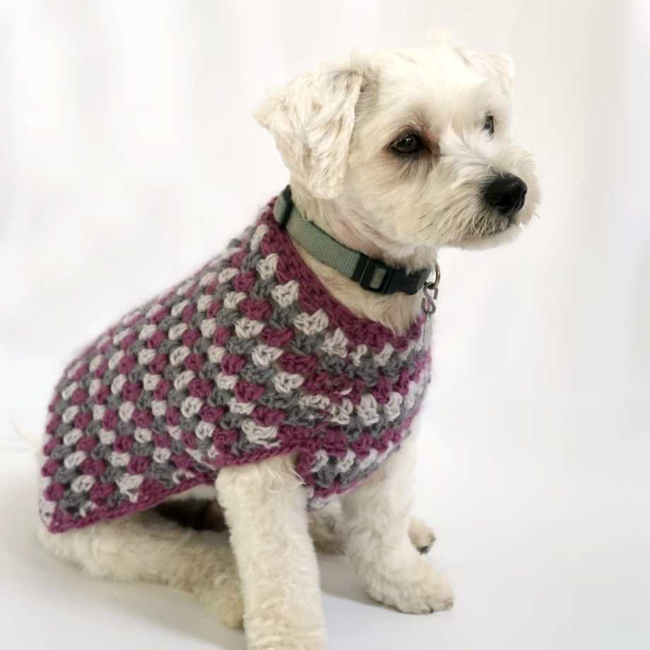 Free knitting pattern for dog coat