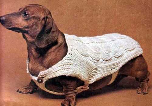 Cable knit dog sweater pattern