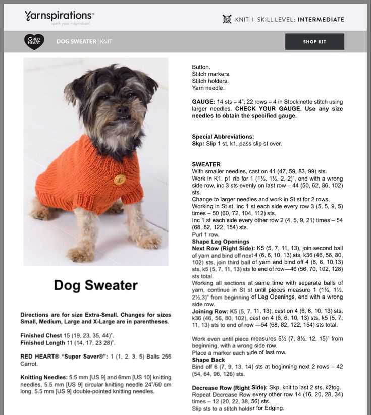 Small dog knitted sweater pattern