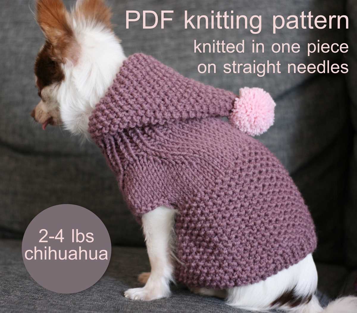 Small dog knitted sweater pattern