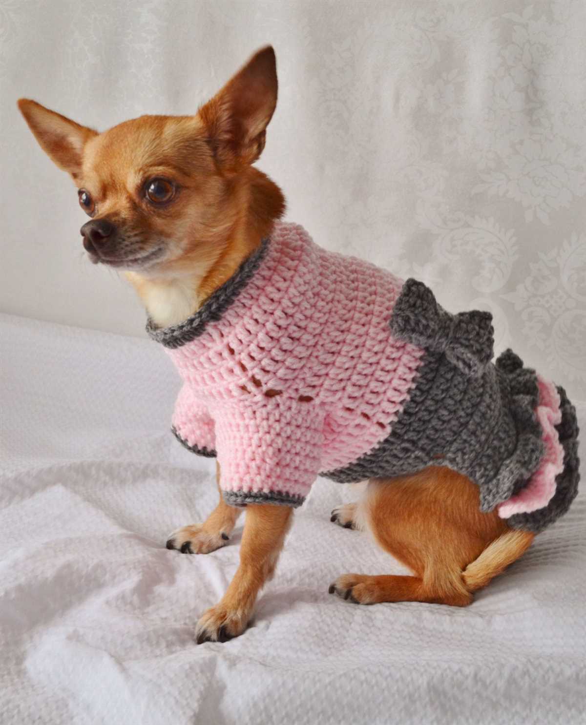 Chihuahua knitting pattern