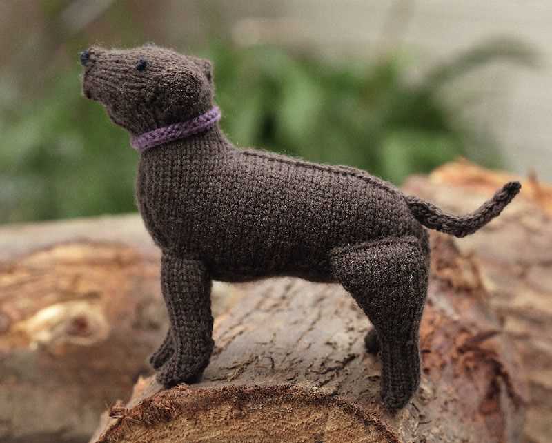 Rspca knitting patterns for dogs