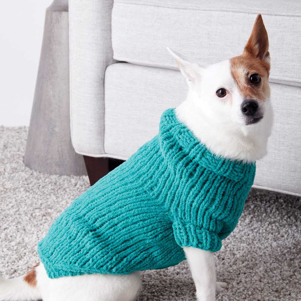 Small dog knitted sweater pattern