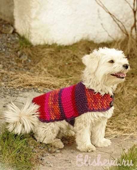 Boxer dog knitting pattern