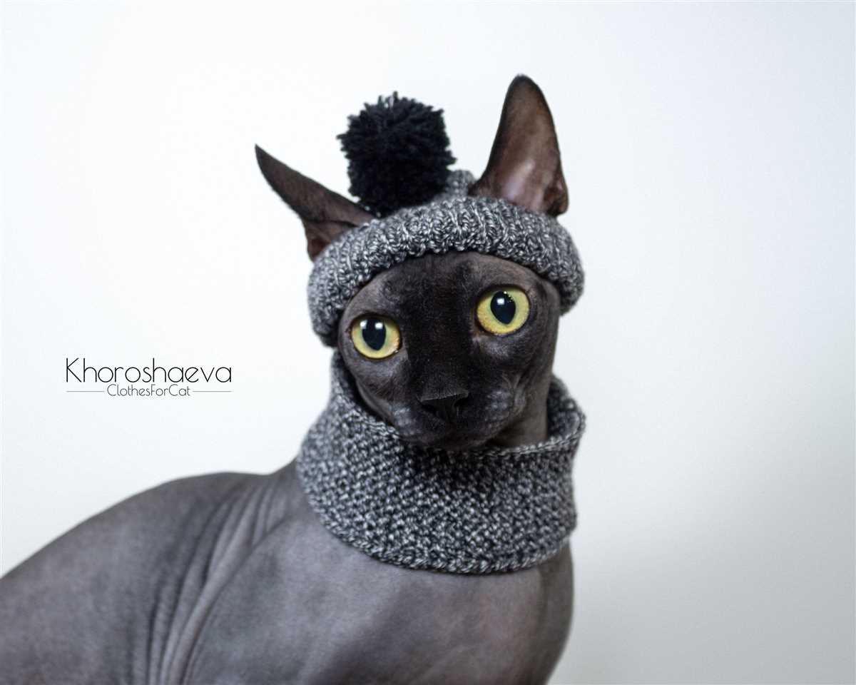 Sphynx cat sweater knitting pattern