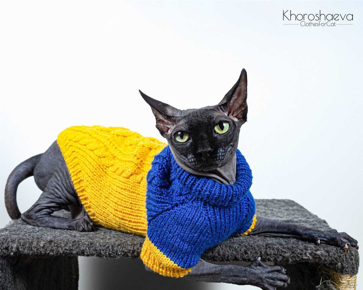 Sphynx cat sweater knitting pattern