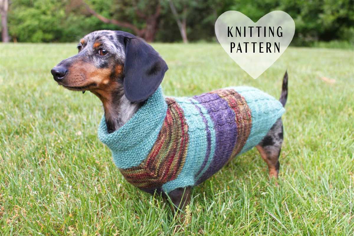 Free dog coat knitting patterns to download