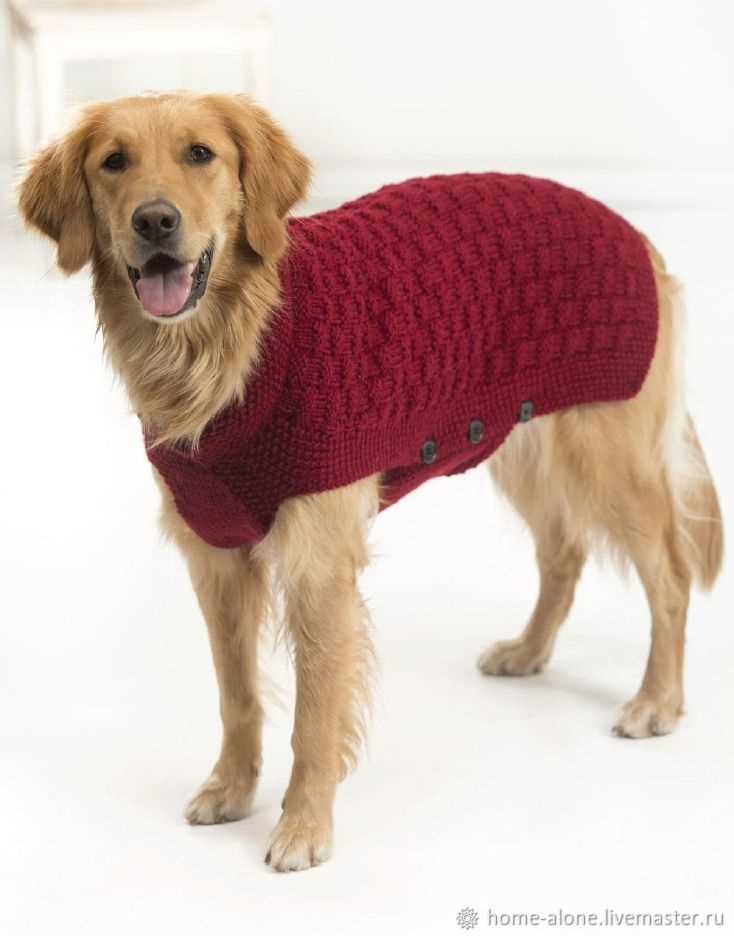 Free knitting pattern for large dog sweater